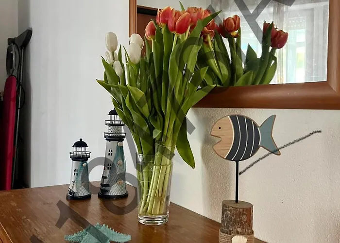 Rocha & Mar - Da Rocha *