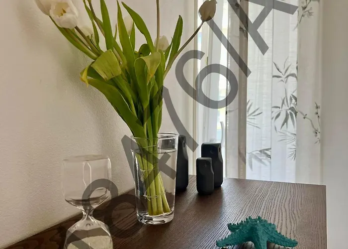 Rocha & Mar - Da Rocha * Portimão