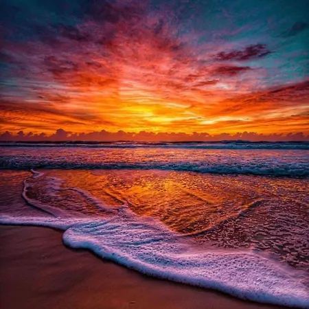 Rocha & Mar - Da Rocha Daire *