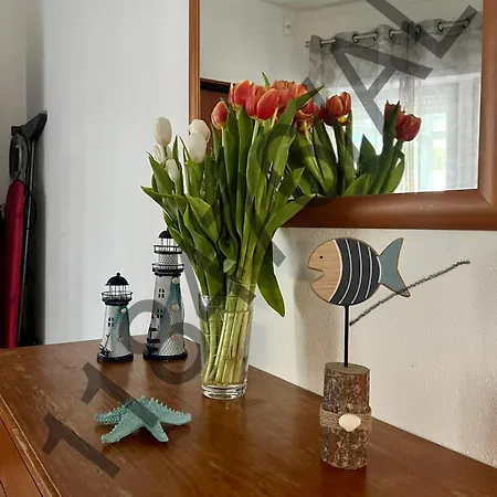 Rocha & Mar - Da Rocha *