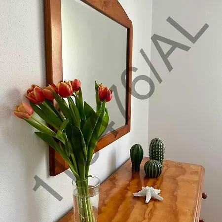 Daire Rocha & Mar - Da Rocha Portimão